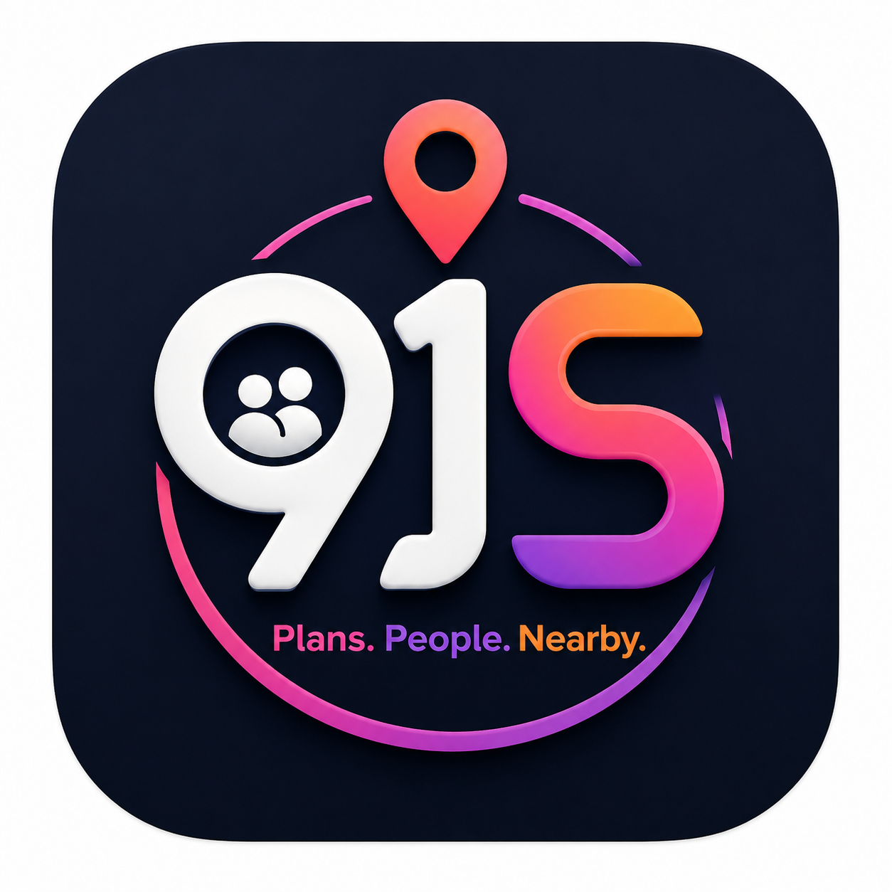 91S project logo
